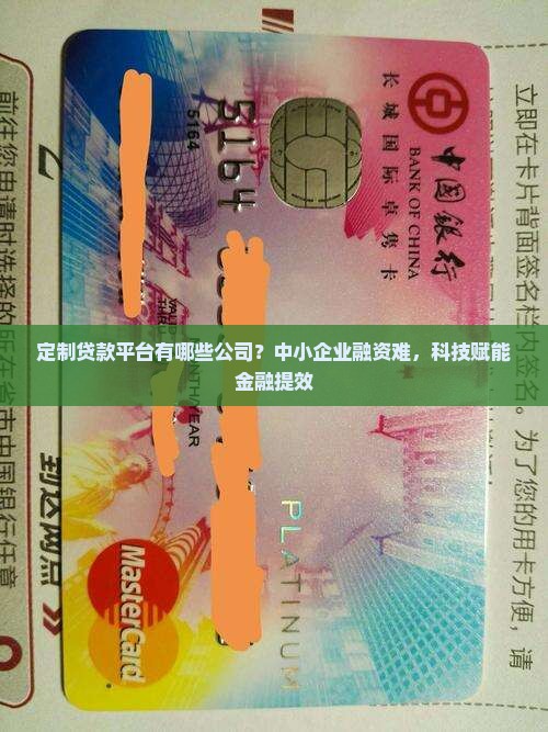 定制贷款平台有哪些公司