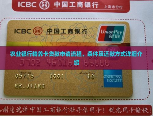 农行精养卡贷款怎么贷