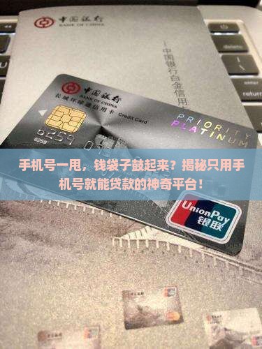 只凭手机号贷款的平台