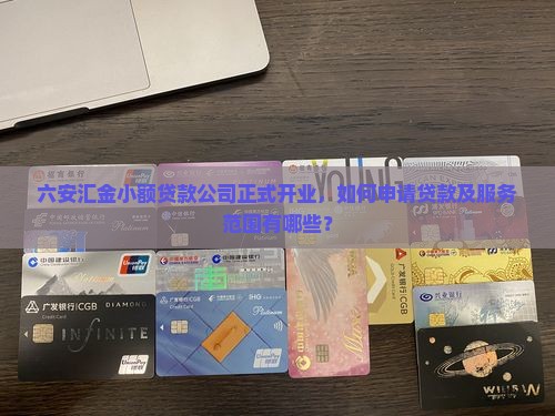 六安汇金小额贷款开业