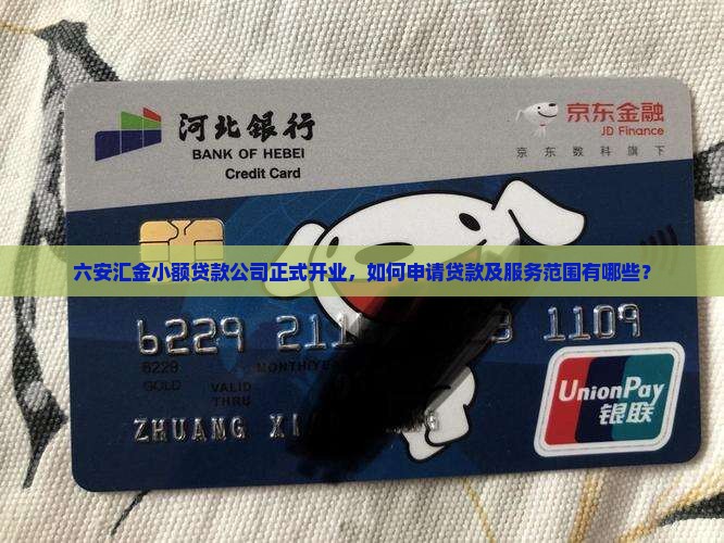 六安汇金小额贷款开业