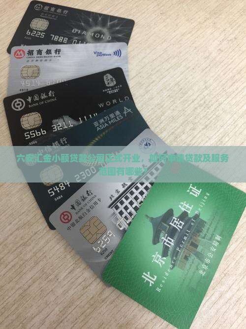 六安汇金小额贷款开业