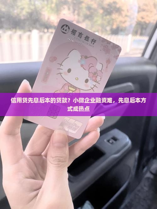 信用贷先息后本的贷款