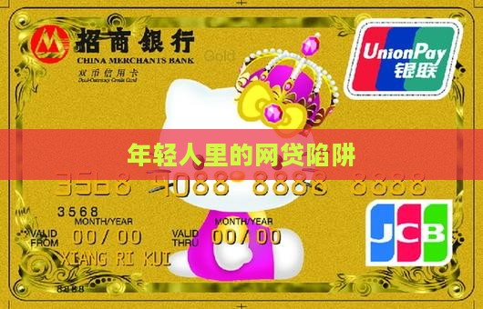 在平台贷款的人