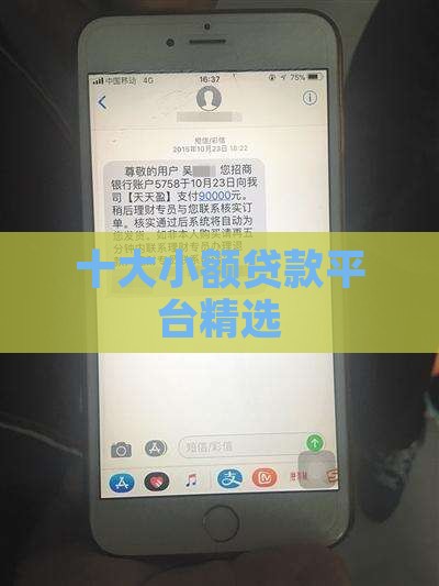 十大新手机小额贷款平台