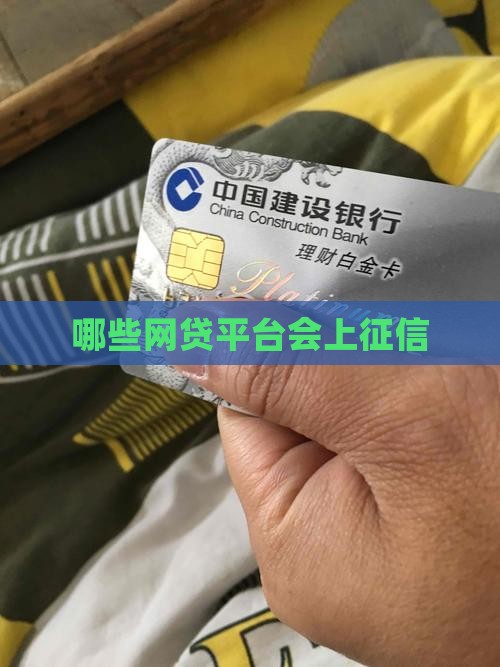 上征信的有什么贷款分期