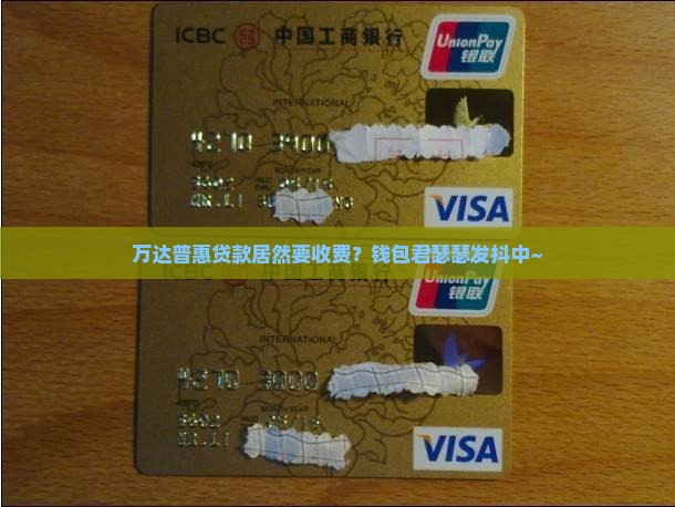 万达普惠贷款要费用 万达普惠贷款要费用