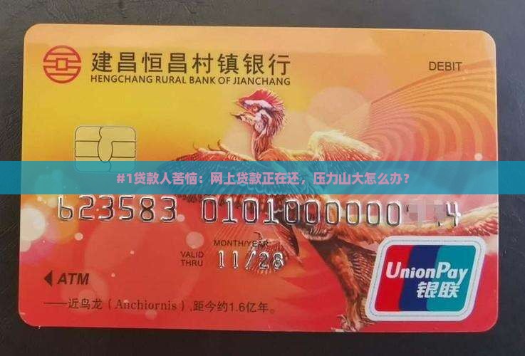 在网上贷款了正在还