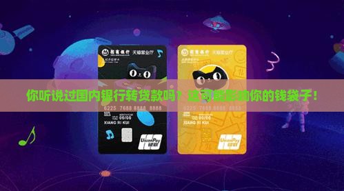 国内银行转贷款