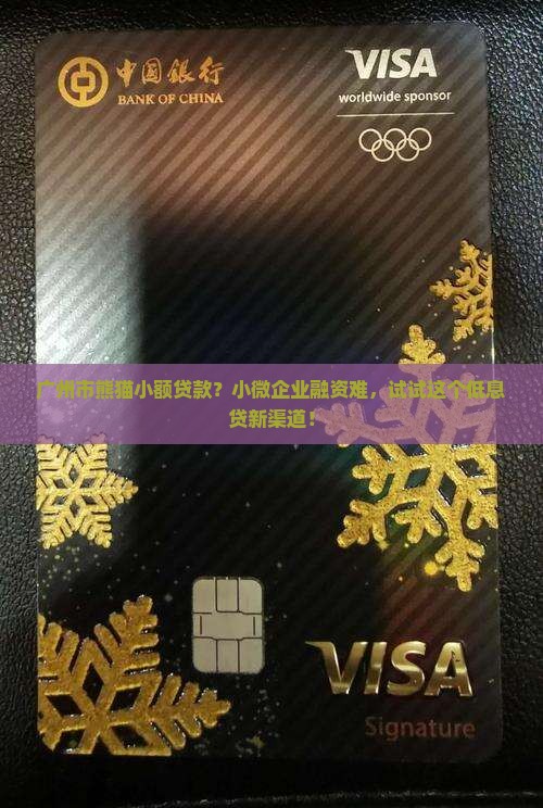 广州市熊猫小额贷款