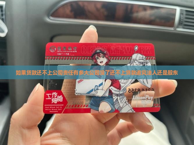 如果贷款还不上公司责任