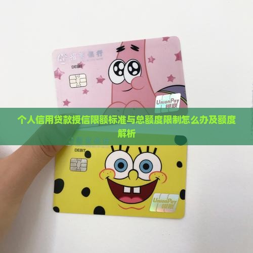 个人信用贷款授信限额