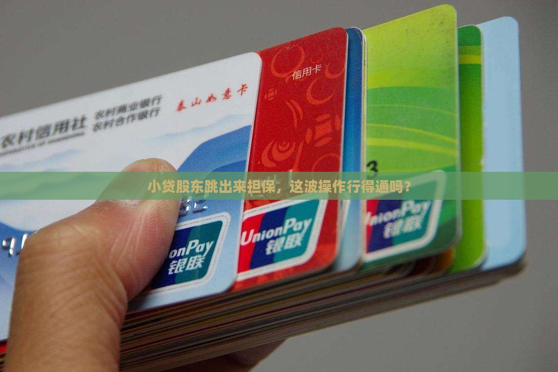小额贷款股东能担保吗