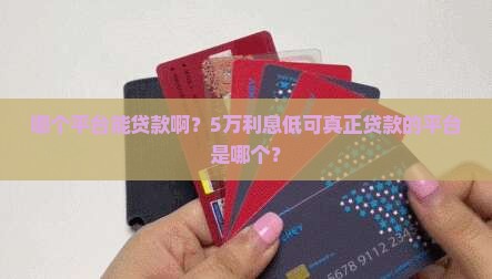哪个平台能贷款啊 哪个平台能贷款啊