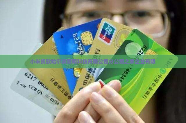 小米贷款哈尔滨分部
