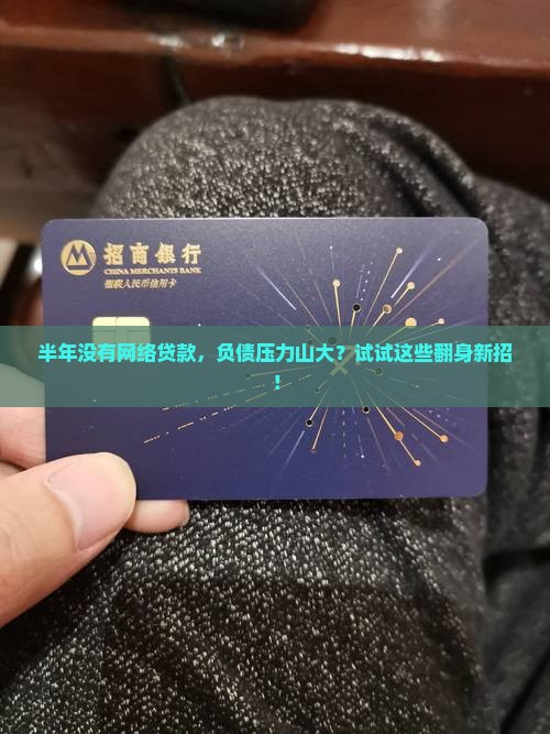 半年没有网络贷款怎么办