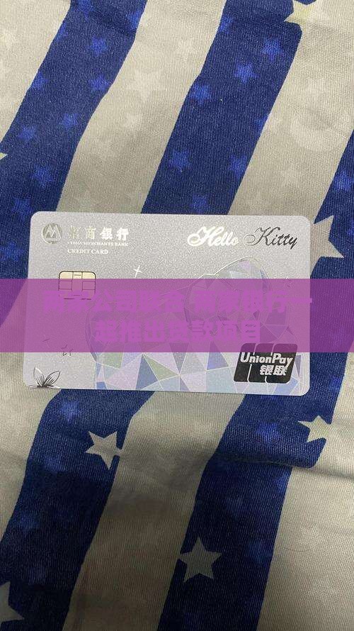 公司联合贷款