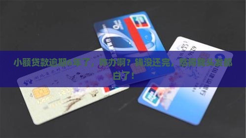 小额贷款逾期6年