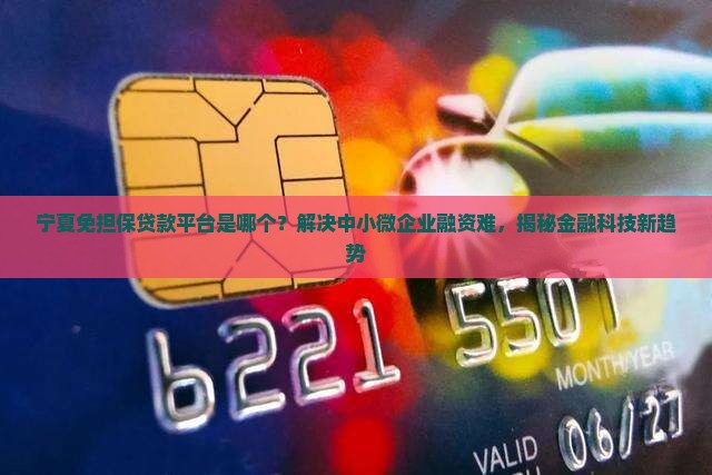 宁夏免担保贷款平台是哪个