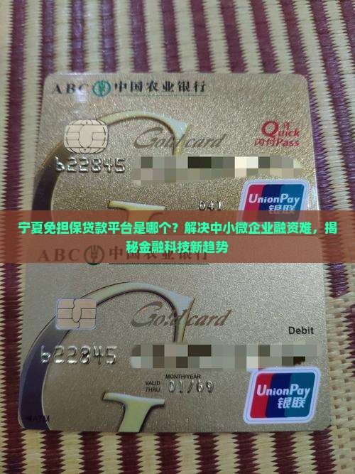 宁夏免担保贷款平台是哪个