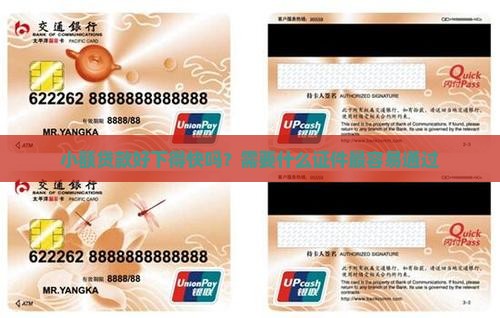 小额贷款好下得