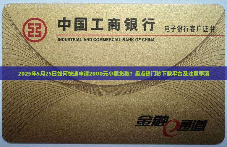 两千的小额贷款怎么贷的