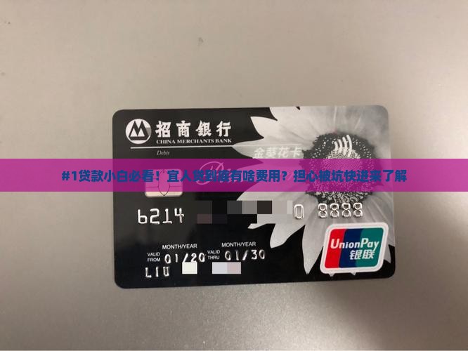 宜人贷贷款有什么费用