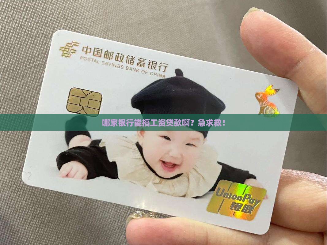 哪个银行能工资贷款