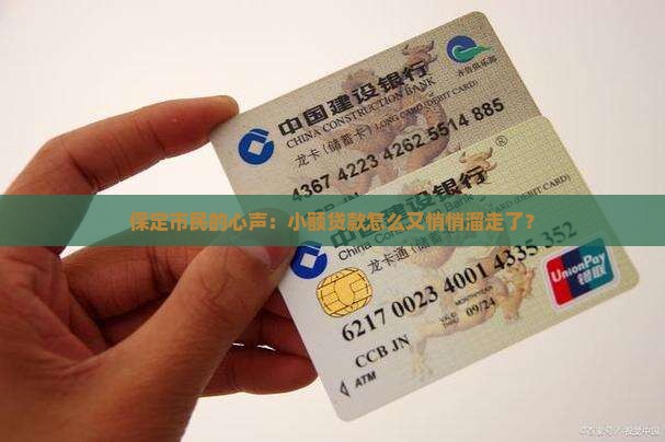 保定市小额贷款又跑了