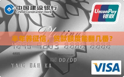征信养半年能贷款多少