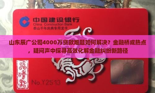 山东辰广公司贷款