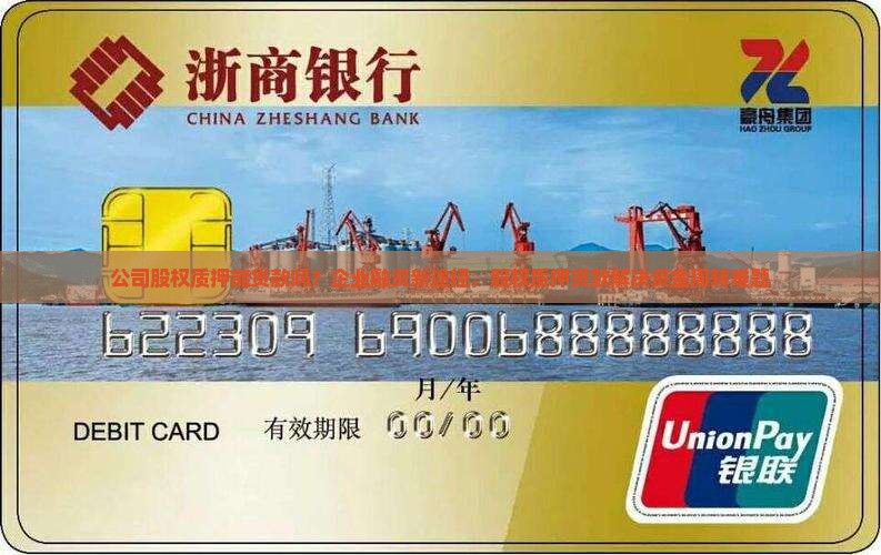 公司股权质押能贷款吗