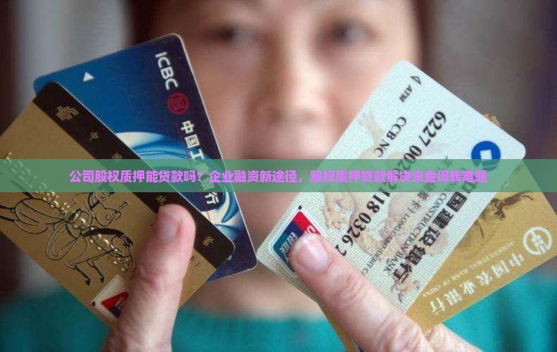 公司股权质押能贷款吗