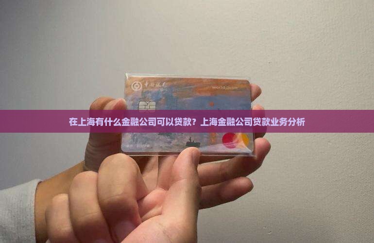 在上海有什么金融公司可以贷款
