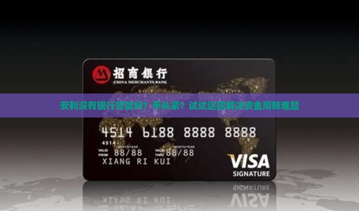 安利没有银行贷款吗