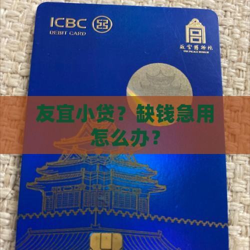 友宜小额贷款