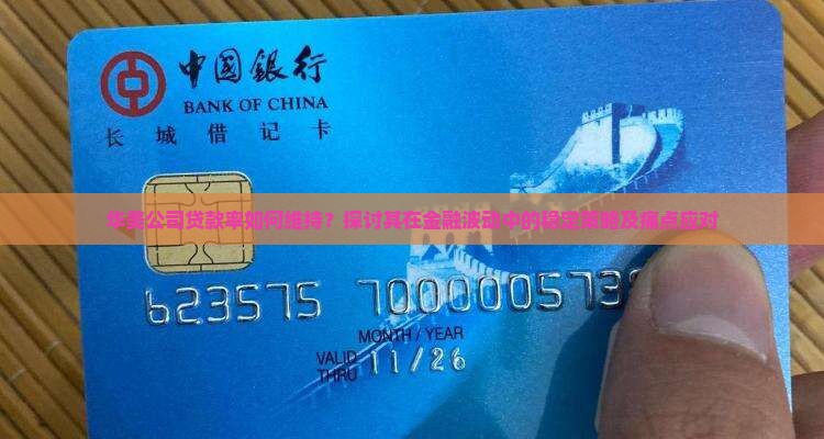 华美公司贷款率