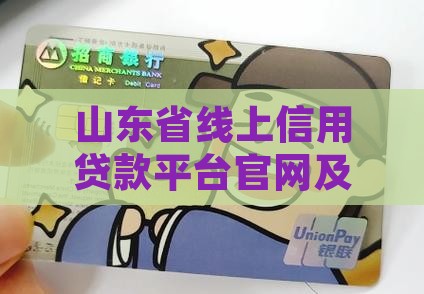 山东省线上信用贷款平台