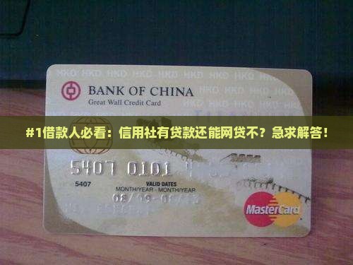 信用社有贷款可以网贷吗