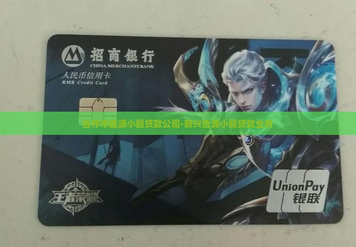 合作市鑫源小额贷款