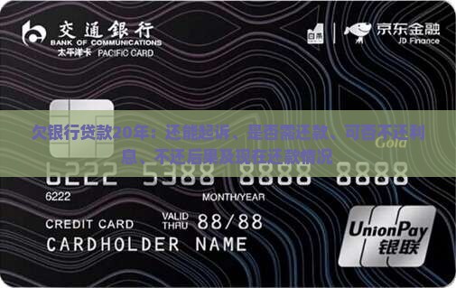 欠银行贷款20年