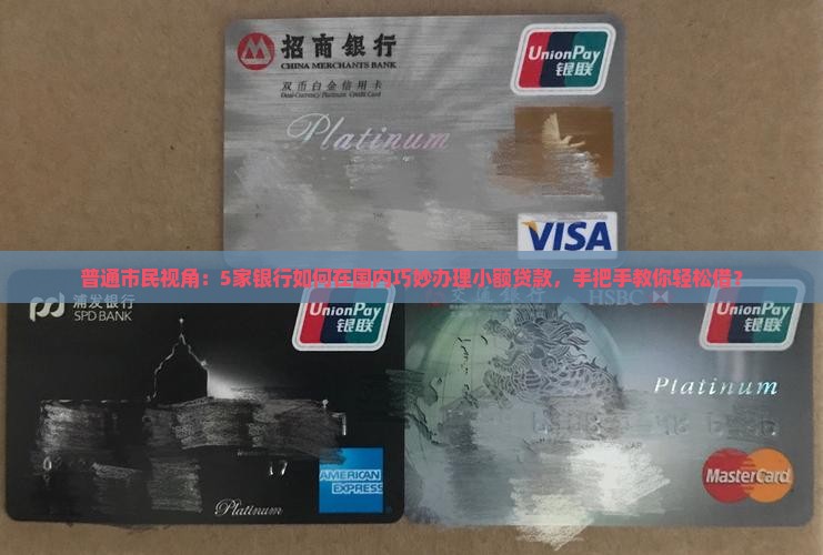 国内经营小额贷款的银行