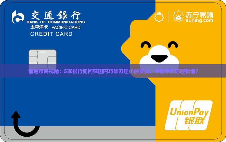 国内经营小额贷款的银行