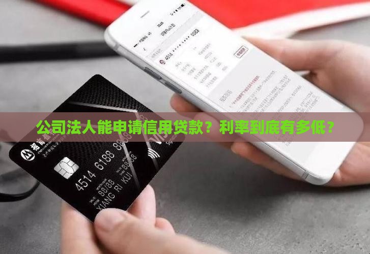 公司法人信用贷款利率