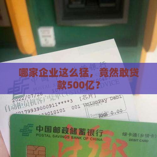 贷款500亿的公司有多少