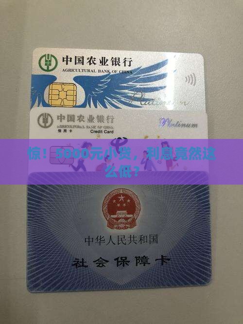 5千元小额贷款利息多少