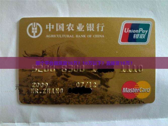 哪个平台能贷款10万