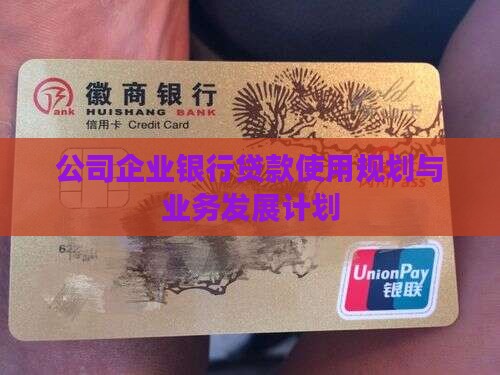 公司银行贷款使用规划