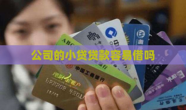 小贷公司贷款好借吗