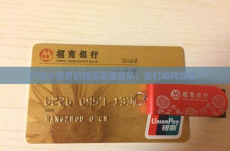小额贷款专职化团队建设